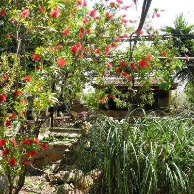 Clio Apartments Img10