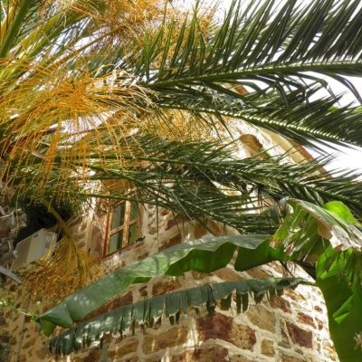 Clio Apartments Img11