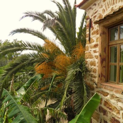 Clio Apartments Img12