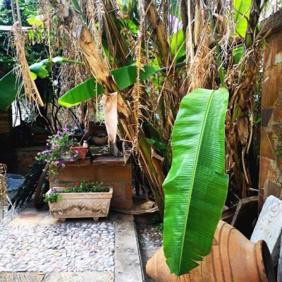 Clio Apartments Img37