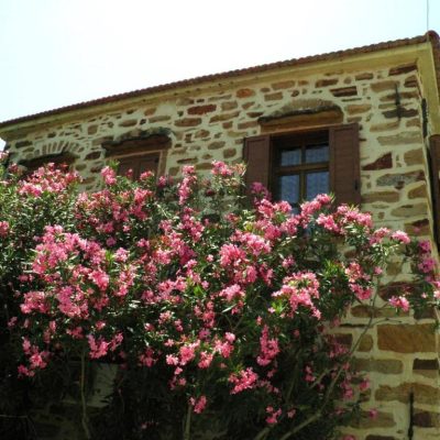 Clio Apartments Img15